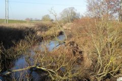 25.-Looking-Upstream-from-Ashington-Bridge