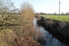 44.-Looking-Upstream-from-Locombe-Bridge