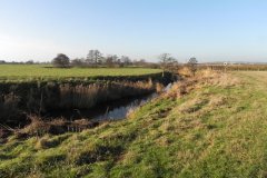 46.-Downstream-from-Locombe-Bridge