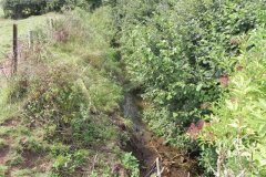 14.Looking-Downstream-from-Hobhouse-Farm-Bridge