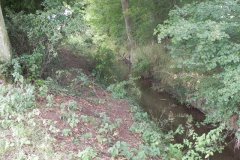 21.-River-View-downstream-from-Edwicke-Farm