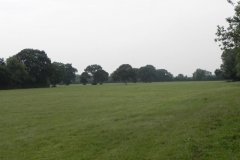 22.-Pasture-downstream-from-Edwicke-Farm