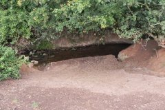 24.-Watering-hole-downstream-from-Edwicke-Farm