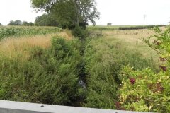 5.Looking-Downstream-from-Higher-Farm-Bridge