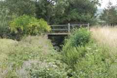 9.Looking-upstream-from-ROW-Footbridge-4473