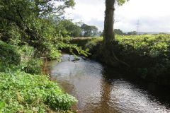 3.-Upstream-from-Perry-bridge-4