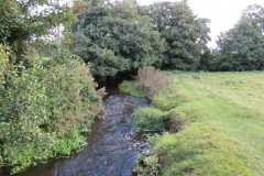 IMG_1417