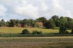 IMG_1429