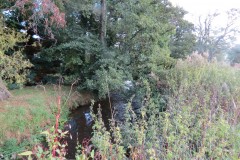 IMG_1444