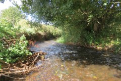 IMG_1457