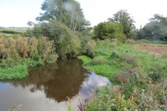 IMG_1462