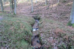 11.-Flowing-through-Somerton-Combe