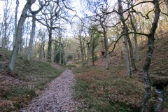 12.-Somerton-Combe