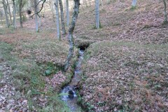 13.-Flowing-through-Somerton-Combe