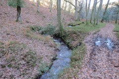 15.-Flowing-through-Somerton-Combe-1