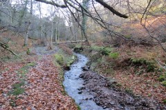 15.-Flowing-through-Somerton-Combe-10