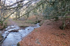 15.-Flowing-through-Somerton-Combe-11