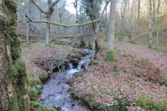 15.-Flowing-through-Somerton-Combe-12