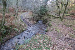 15.-Flowing-through-Somerton-Combe-13