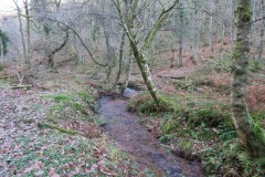 15.-Flowing-through-Somerton-Combe-14