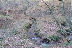 15.-Flowing-through-Somerton-Combe-15