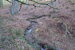 15.-Flowing-through-Somerton-Combe-16