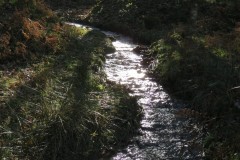 15.-Flowing-through-Somerton-Combe-3