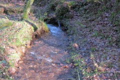 15.-Flowing-through-Somerton-Combe-4