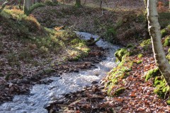 15.-Flowing-through-Somerton-Combe-5