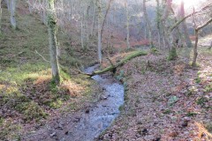 15.-Flowing-through-Somerton-Combe-6