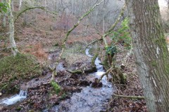 15.-Flowing-through-Somerton-Combe-7