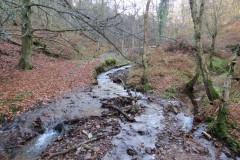 15.-Flowing-through-Somerton-Combe-9
