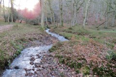16.-Flowing-through-Somerton-Combe