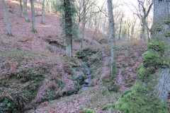 9.-Flowing-through-Somerton-Combe-12