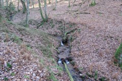 9.-Flowing-through-Somerton-Combe-14