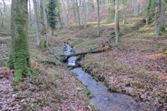 9.-Flowing-through-Somerton-Combe-4