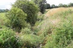 12.-Looking-downstream-from-Wellhayes-Farm-Bridge