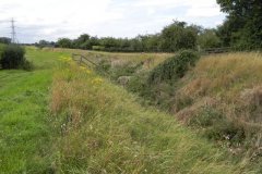 14.-River-View-downstream-from-Wellhayes-Farm-Bridge