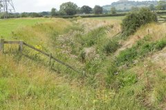 15.-River-View-downstream-from-Wellhayes-Farm-Bridge