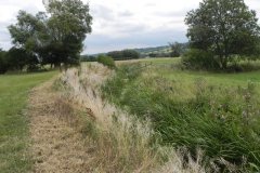 17.-River-view-upstream-from-Whitelake-Bridge