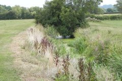 19.-River-view-upstream-from-Whitelake-Bridge