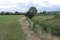 20.-River-view-upstream-from-Whitelake-Bridge
