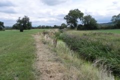 22.-River-view-upstream-from-Whitelake-Bridge