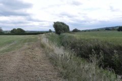 DSCN0670