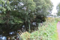 3.-Canal-between-Sellake-and-Tiverton-Road-10