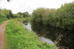 3.-Canal-between-Sellake-and-Tiverton-Road-12
