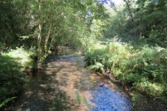 10.-Looking-upstream-from-West-Deane-Way-Footbridge-A