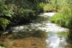 15.-Looking-upstream-from-West-Deane-Way-Footbridge-B