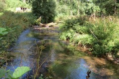 17.-Looking-downstream-from-West-Deane-Way-Footbridge-A