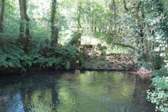 23.-Spring-Cottage-Weir-remains
